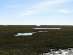 Salt marsh, mostly enclosed by dyke. Though the gaps, you can see The Wash and beyond, its south coast. Next photo zooms in... Select this image to see a larger version. 