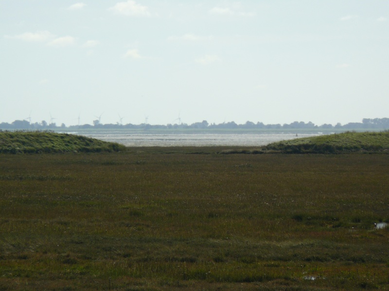 Select this image to see a larger version. ...zooming in through the left-hand gap of the photo before last. Distant wind farm is in Gedney Marsh.