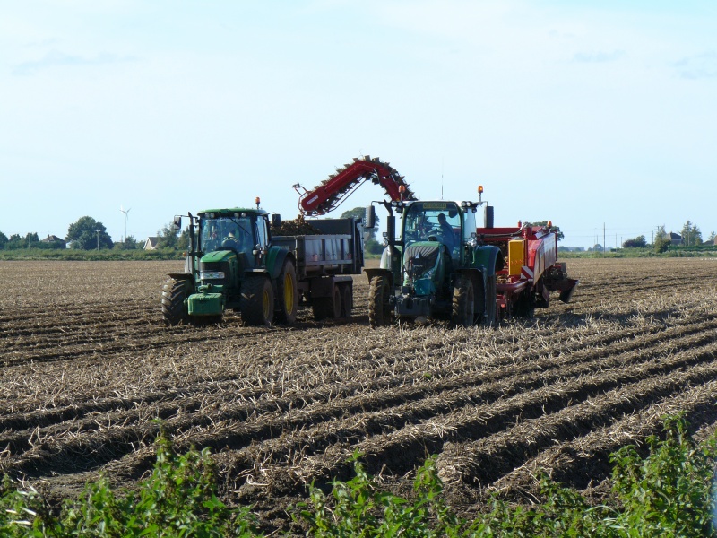 Select this image to see a larger version. Harvesting spuds.