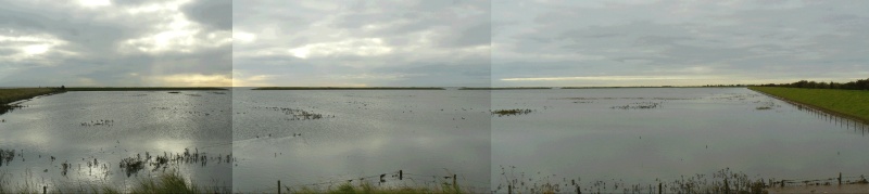 Select this image to see a larger version. Manual panorama of the flooded salt marsh lagoon.